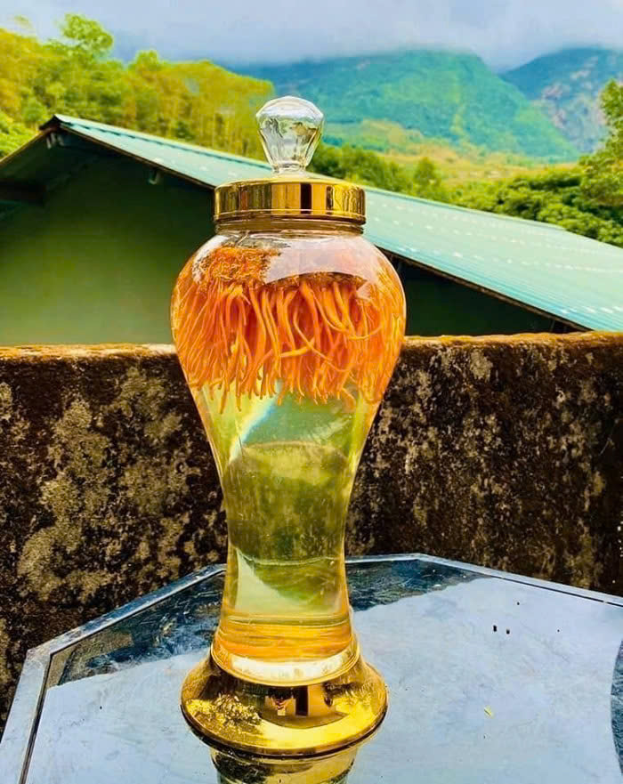 Bài Thuốc Đông Y: Ngâm rượu thuốc