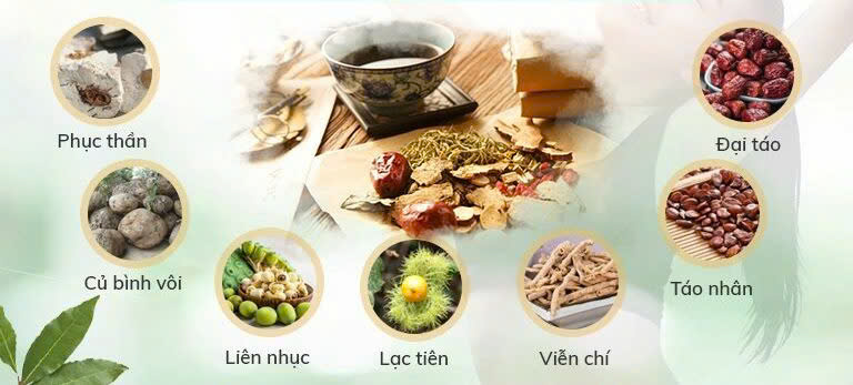 Mất ngủ, rối loạn tiền đình – đừng để lâu! đông y có giải pháp chữa trị tận gốc- Thảo dược trị mất ngủ an toàn